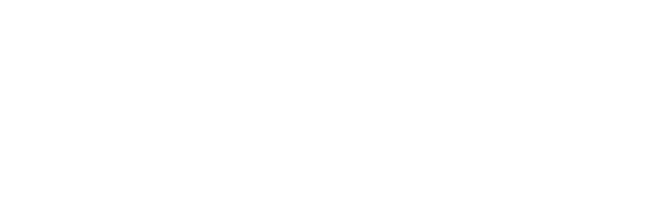 Softavenue Wireless